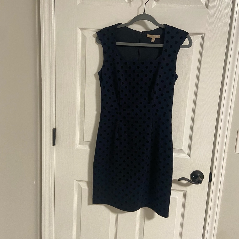 Navy with black velvet polka dots